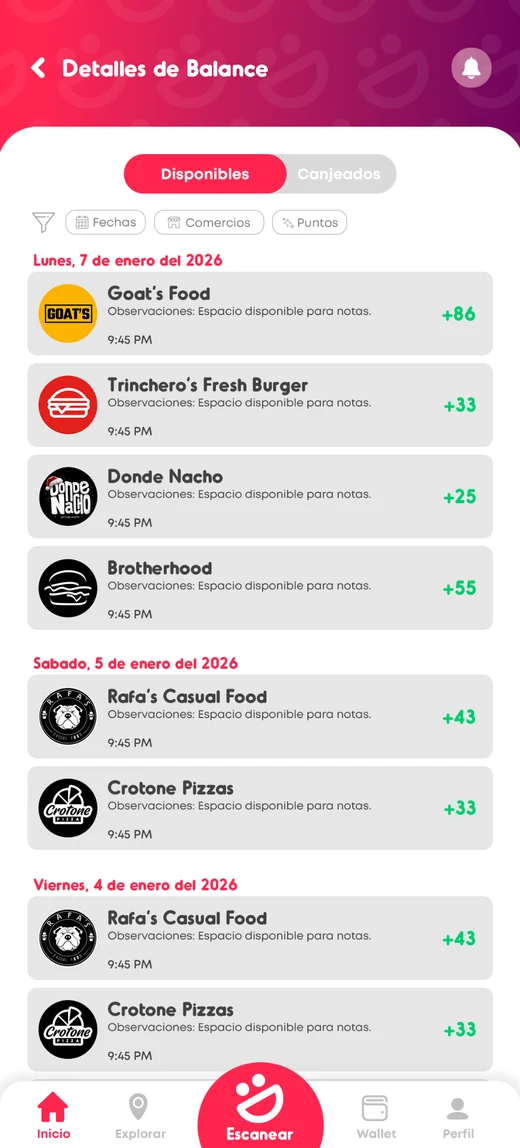 Vista de balance y movimientos de puntos dentro de Kipy